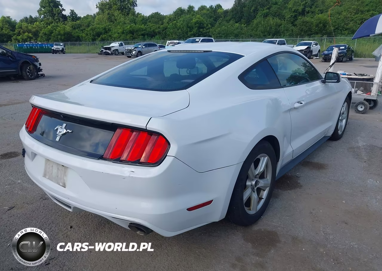 2017 Ford Mustang V6 VIN:1FA6P8AM0H5342915 - 4