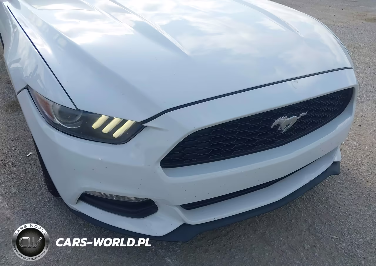 2017 Ford Mustang V6 VIN:1FA6P8AM0H5342915 - 6