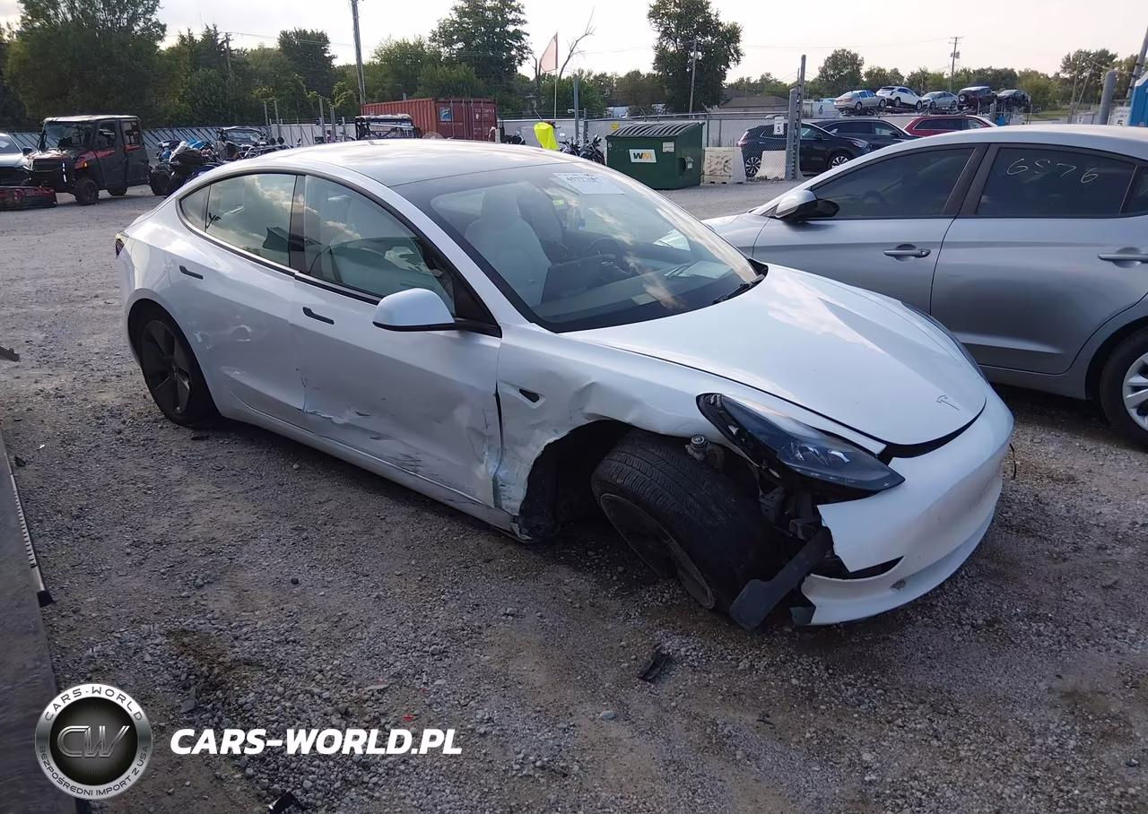 2023 Tesla Model 3 Rear-Wheel Drive VIN:5YJ3E1EA9PF691921 - 1