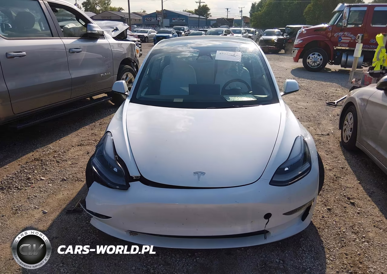 2023 Tesla Model 3 Rear-Wheel Drive VIN:5YJ3E1EA9PF691921 - 11