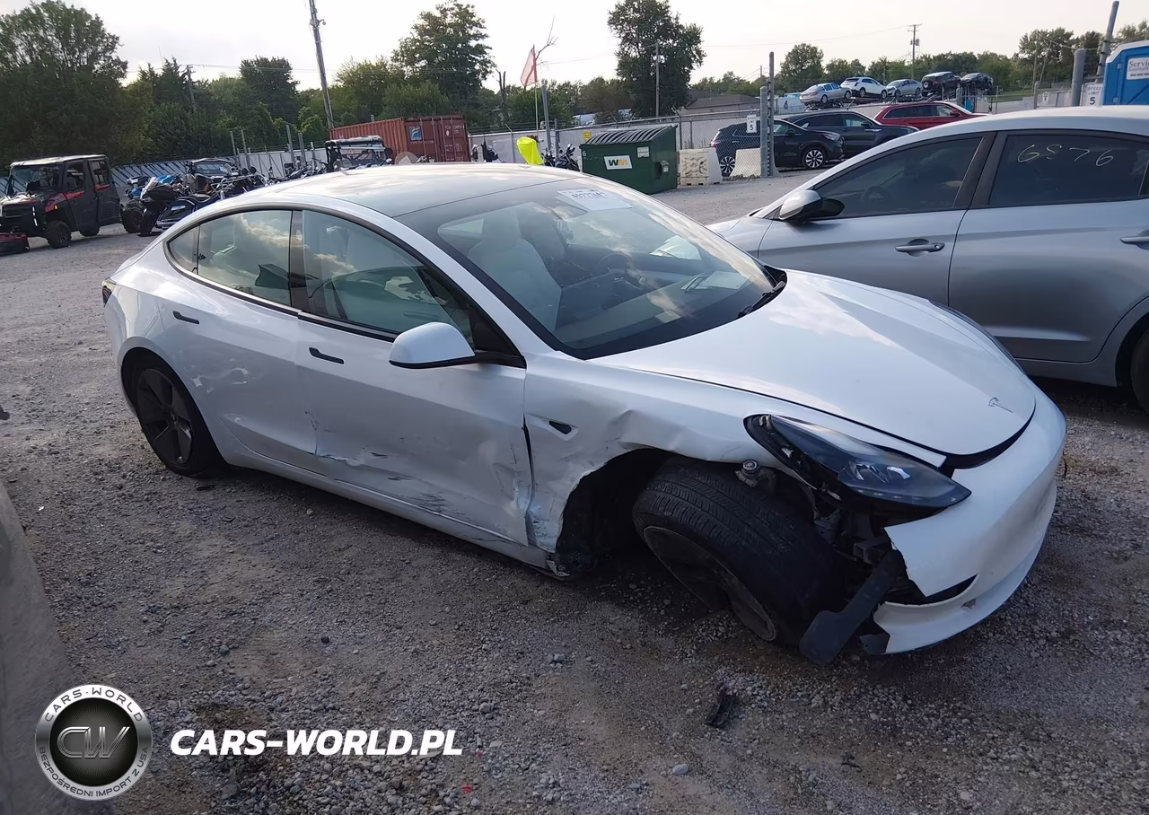 2023 Tesla Model 3 Rear-Wheel Drive VIN:5YJ3E1EA9PF691921 - 12
