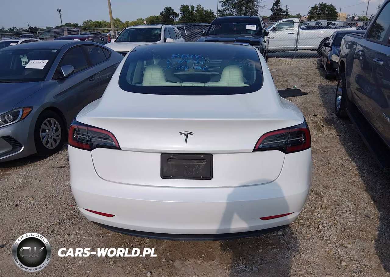2023 Tesla Model 3 Rear-Wheel Drive VIN:5YJ3E1EA9PF691921 - 15
