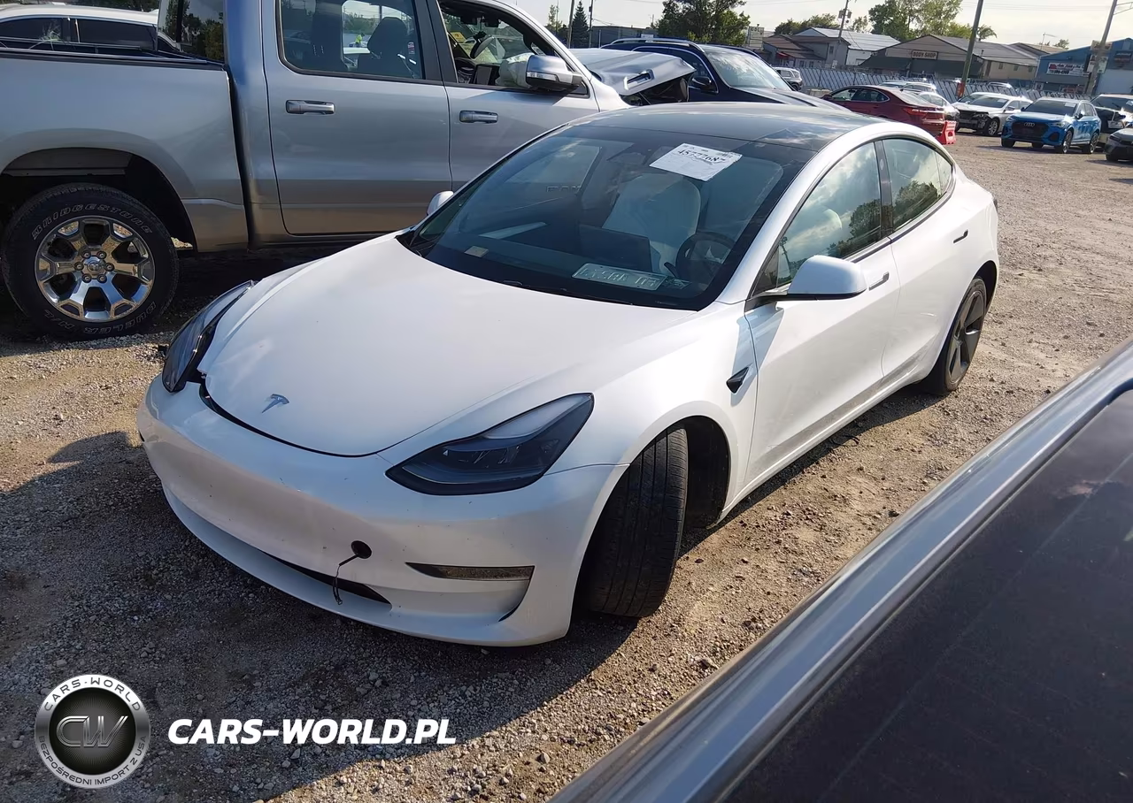 2023 Tesla Model 3 Rear-Wheel Drive VIN:5YJ3E1EA9PF691921 - 2
