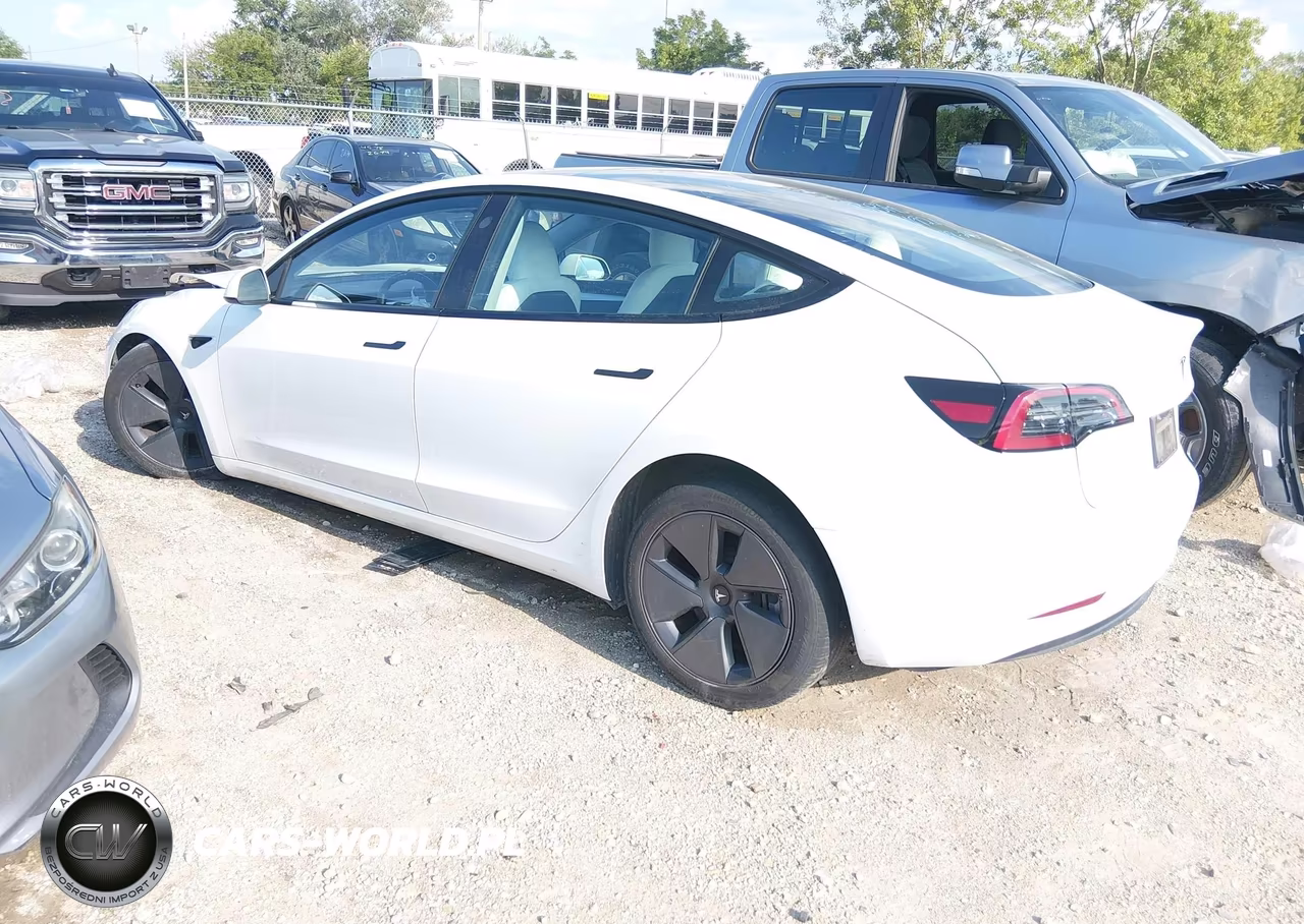 2023 Tesla Model 3 Rear-Wheel Drive VIN:5YJ3E1EA9PF691921 - 3