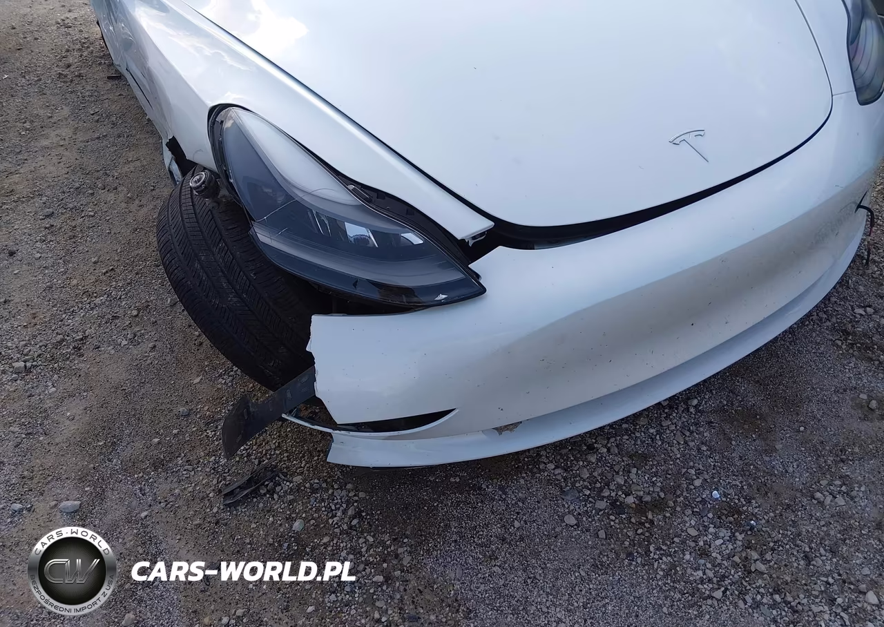 2023 Tesla Model 3 Rear-Wheel Drive VIN:5YJ3E1EA9PF691921 - 6
