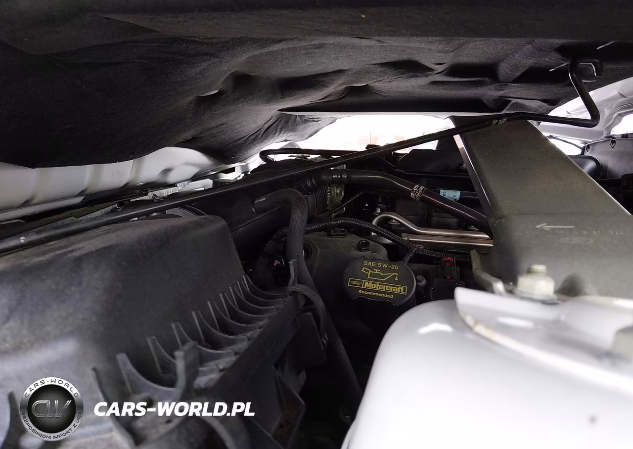 2014 Ford Mustang V6 VIN:1ZVBP8EM5E5293173 - 10