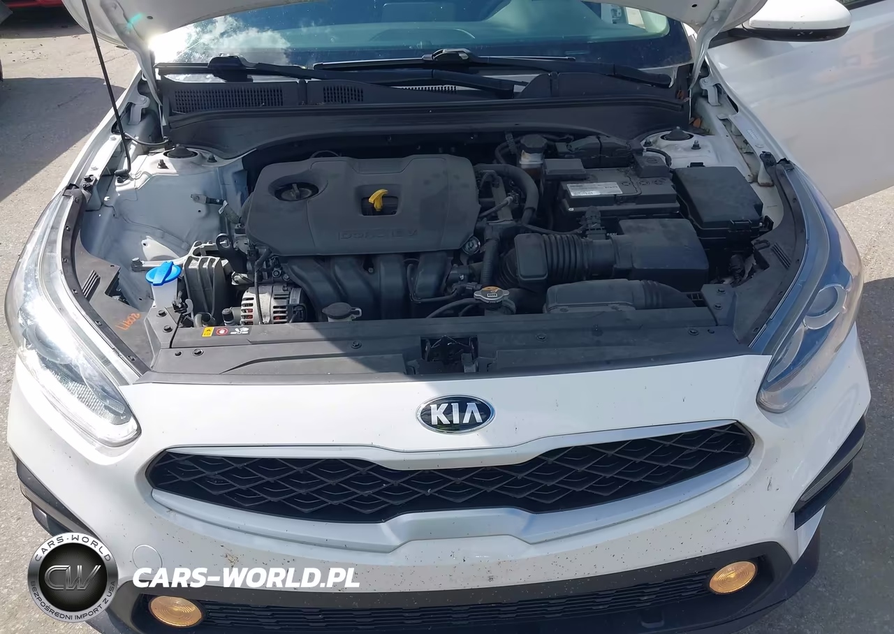 2020 Kia Forte Fe VIN:3KPF24AD4LE258059 - 10