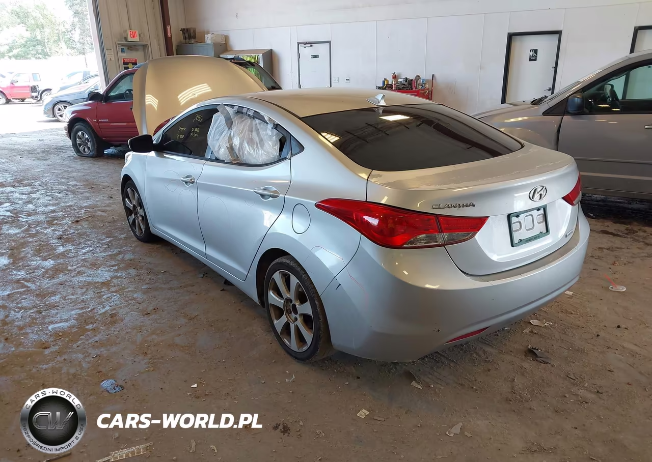 2013 Hyundai Elantra Limited VIN:5NPDH4AEXDH153568 - 3