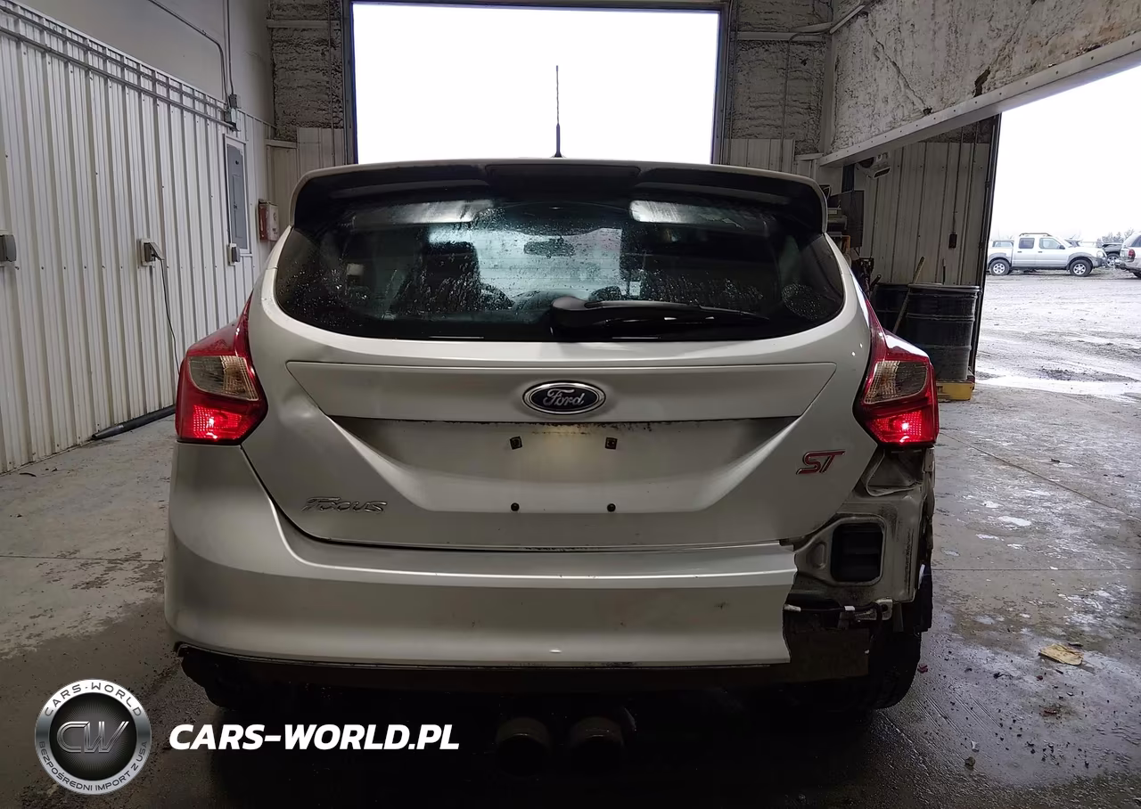 2014 Ford Focus St VIN:1FADP3L99EL100070 - 16