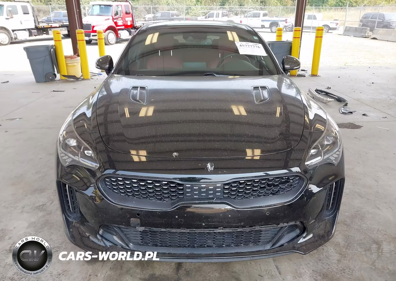 2018 Kia Stinger Gt1 VIN:KNAE45LCXJ6011872 - 13