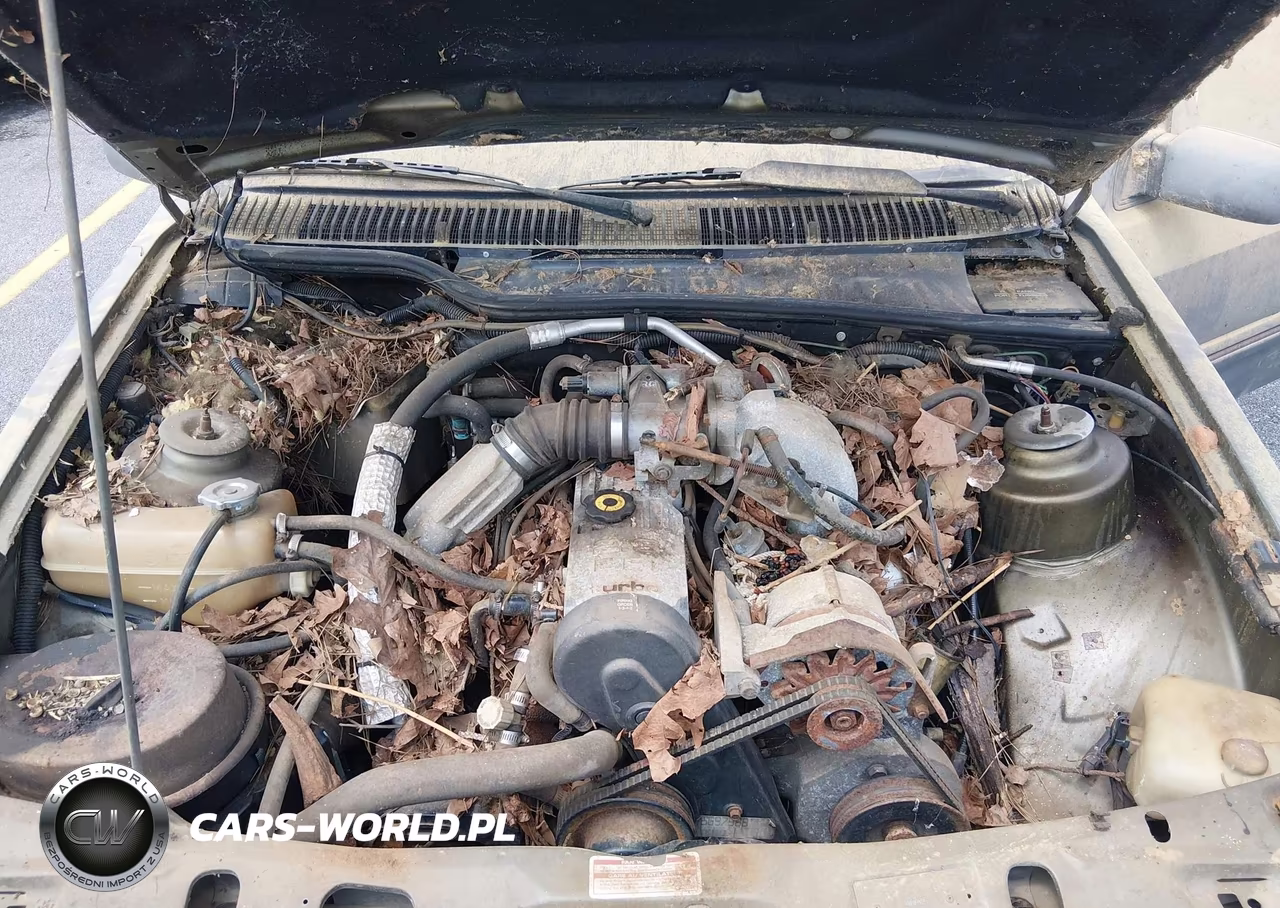 1985 Merkur Xr4Ti VIN:WF1BP80W3FM630032 - 10