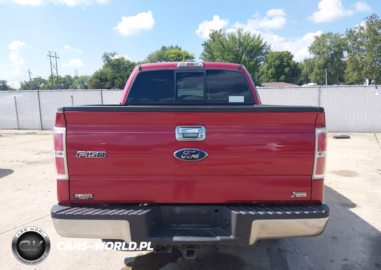2010 Ford F-150 Xlt VIN:1FTFW1CV0AFA14761 - 16