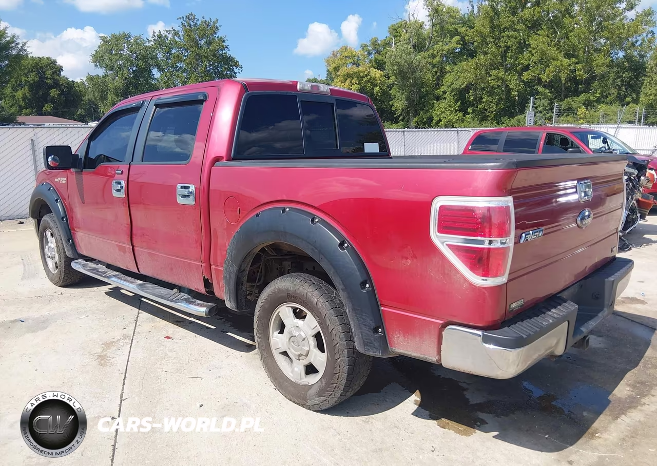 2010 Ford F-150 Xlt VIN:1FTFW1CV0AFA14761 - 3