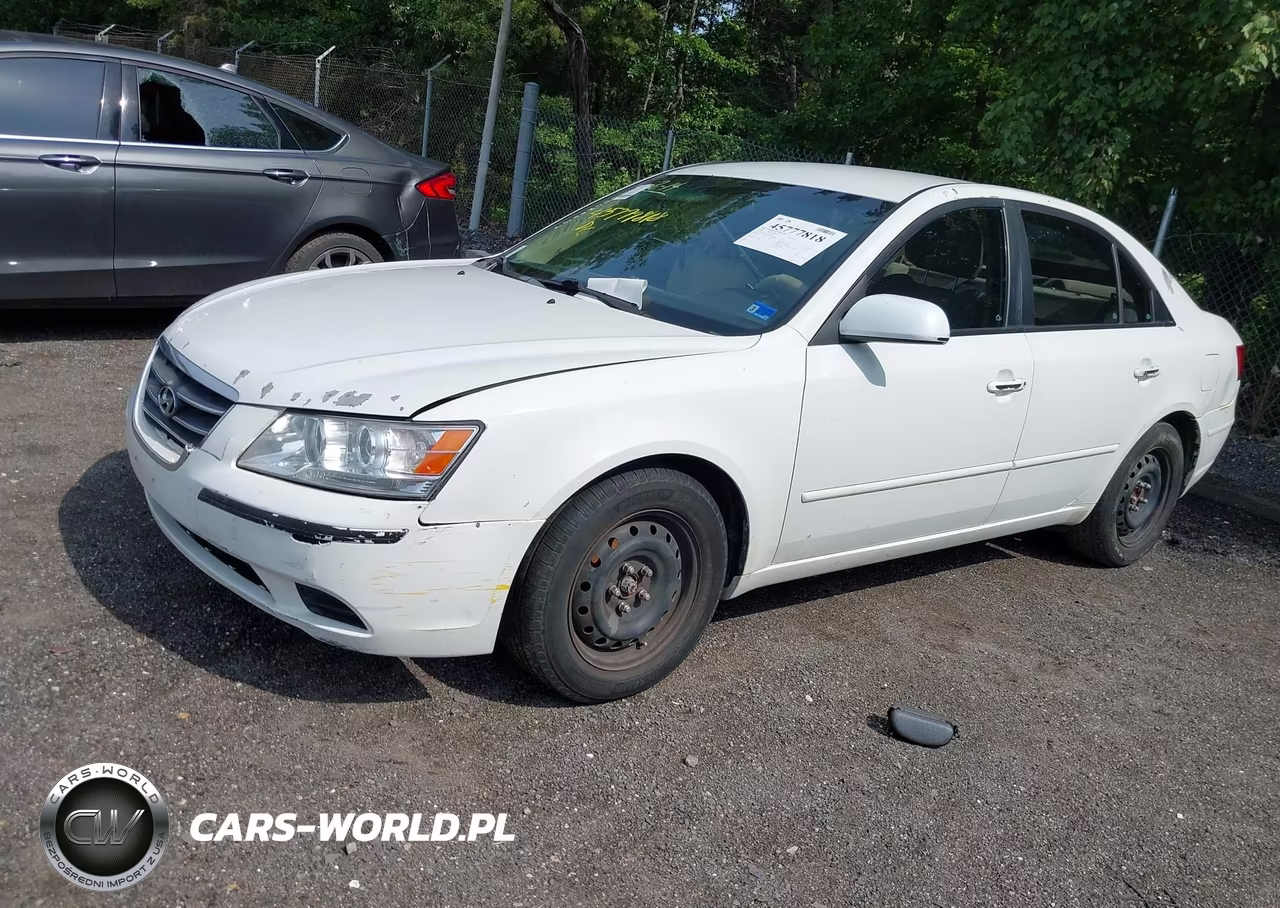 2010 Hyundai Sonata Gls VIN:5NPET4AC8AH638417 - 2