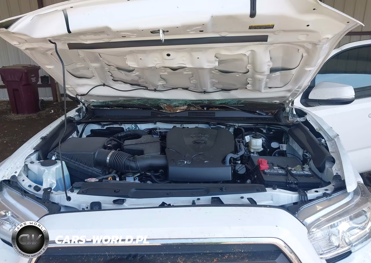 2023 Toyota Tacoma Sr5 V6 VIN:3TMAZ5CN9PM215995 - 10