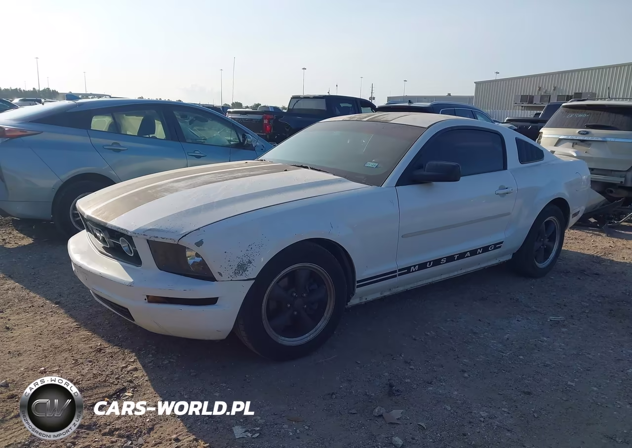 2005 Ford Mustang V6 Deluxe-V6 Premium VIN:1ZVFT80N955237329 - 2