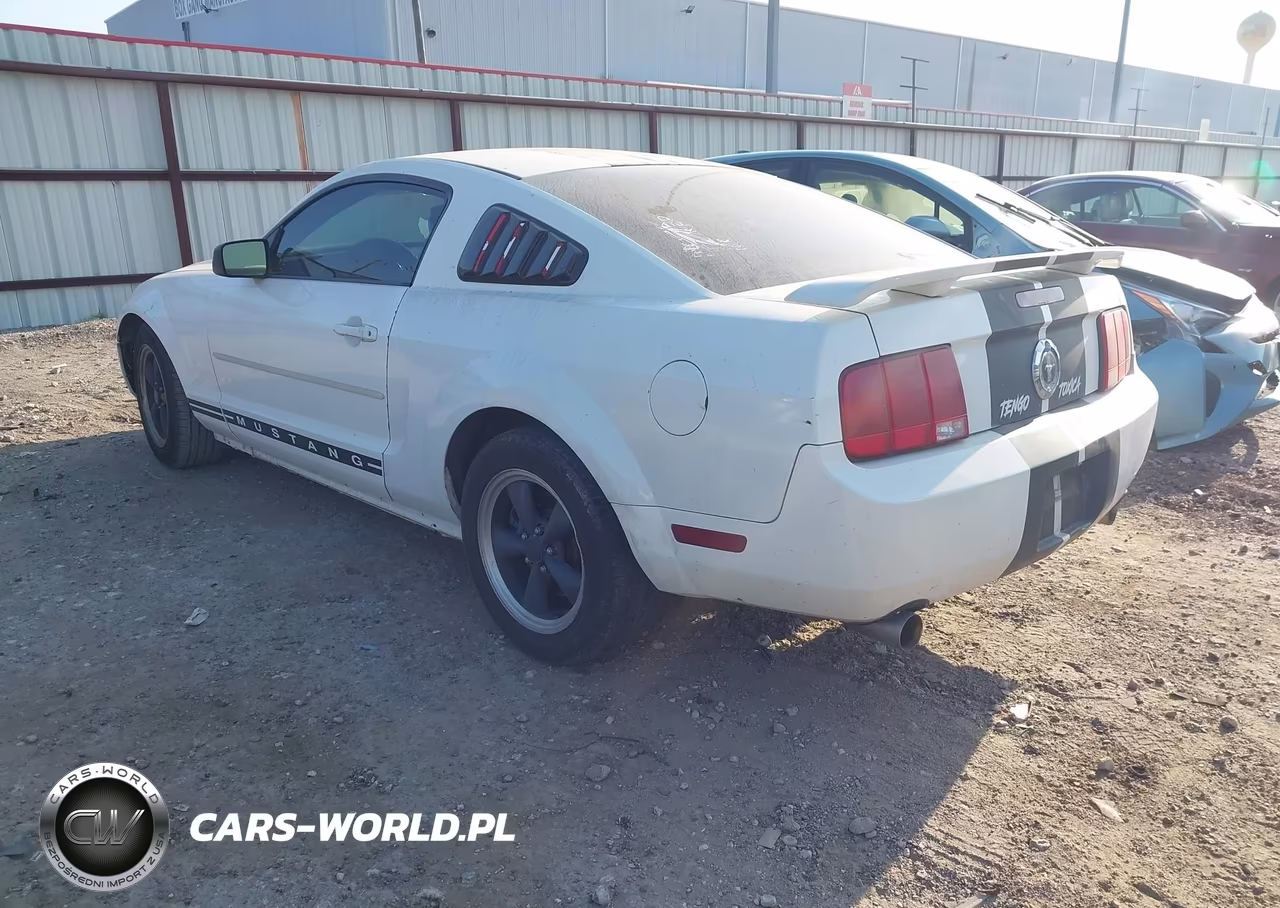 2005 Ford Mustang V6 Deluxe-V6 Premium VIN:1ZVFT80N955237329 - 3