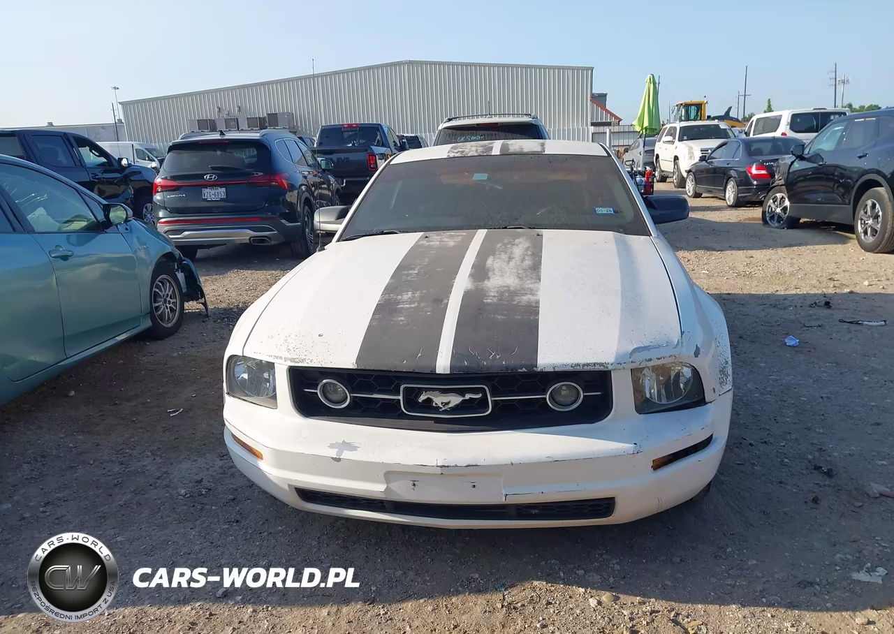2005 Ford Mustang V6 Deluxe-V6 Premium VIN:1ZVFT80N955237329 - 6