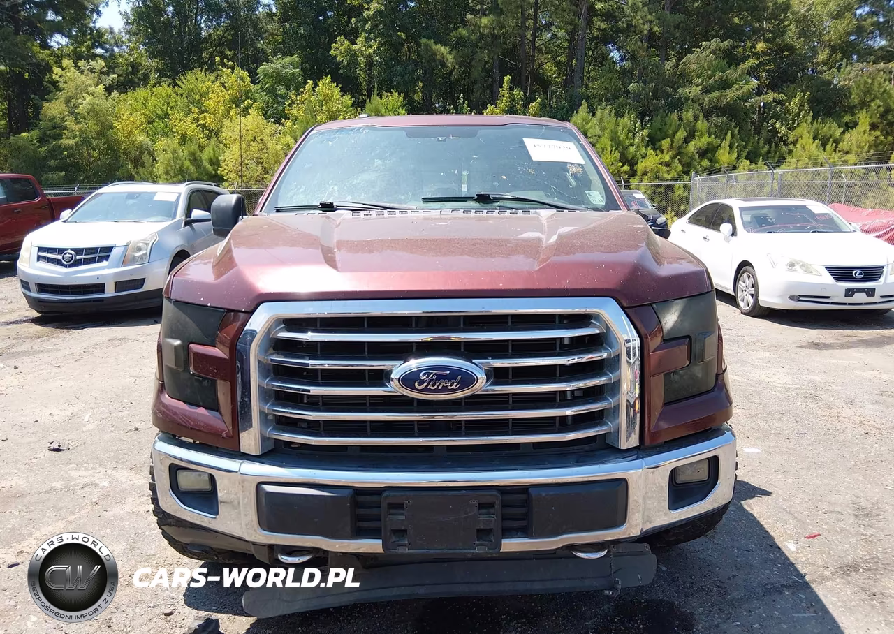 2015 Ford F-150 Xlt VIN:1FTEW1EF7FKE34016 - 12