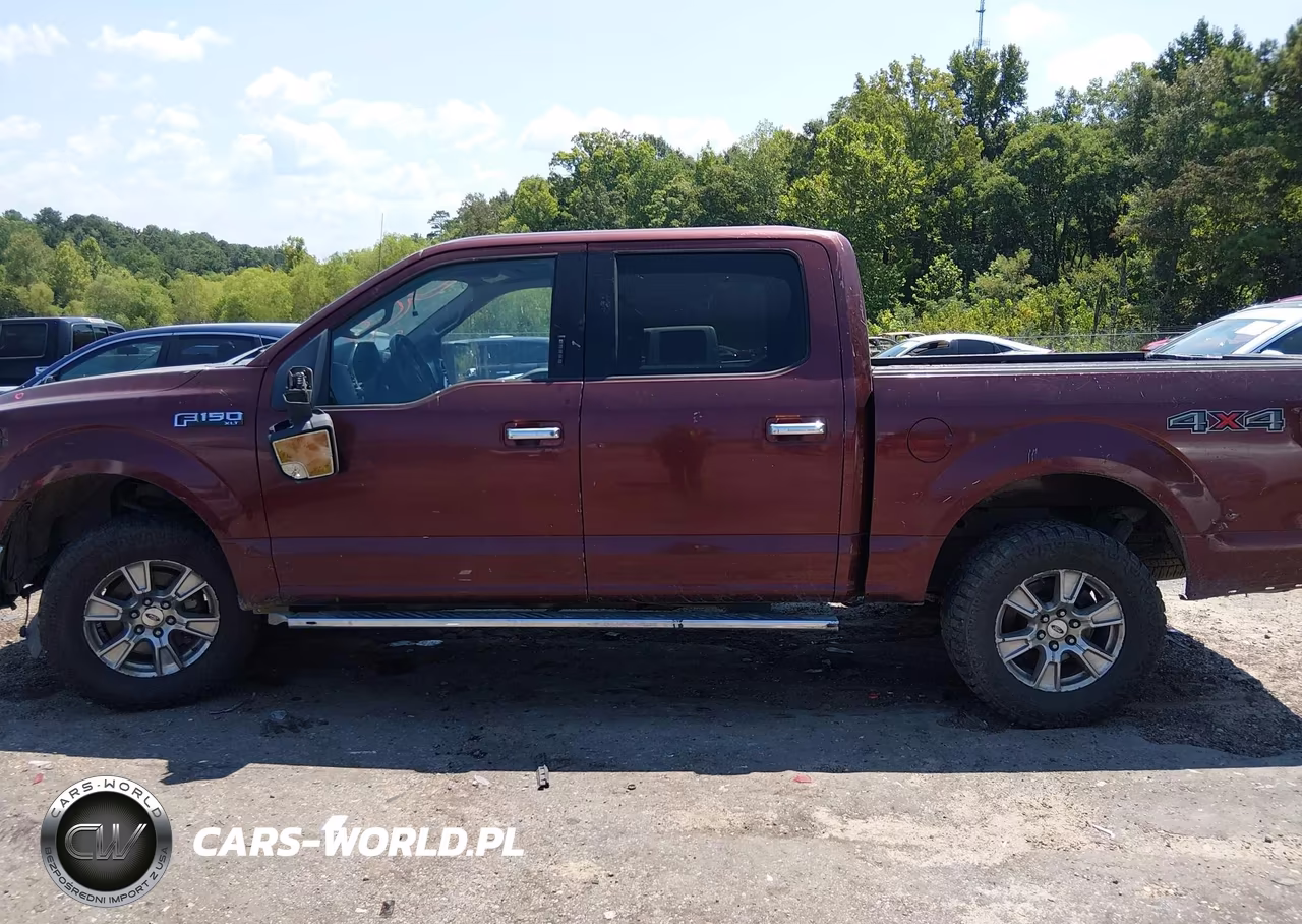 2015 Ford F-150 Xlt VIN:1FTEW1EF7FKE34016 - 14
