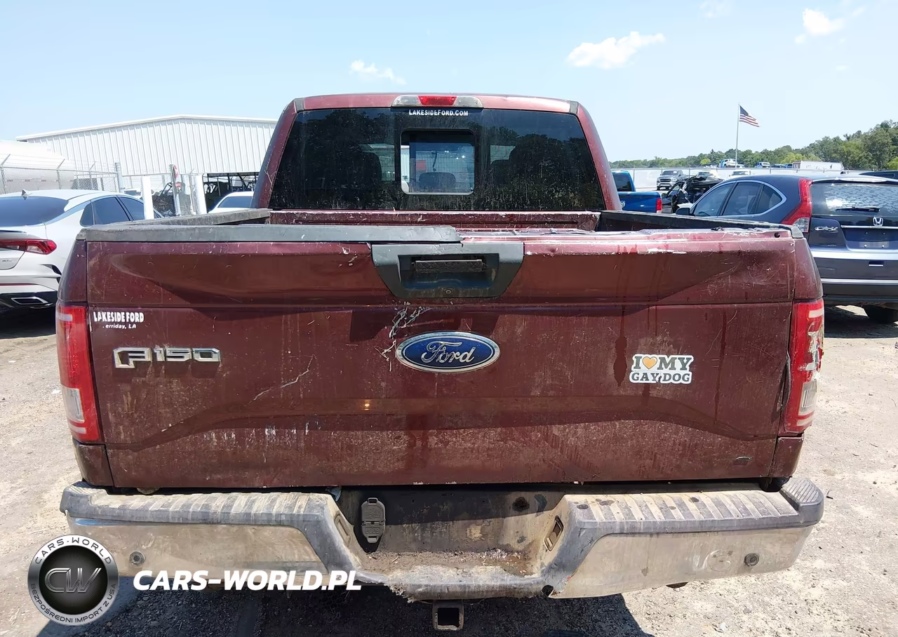 2015 Ford F-150 Xlt VIN:1FTEW1EF7FKE34016 - 16