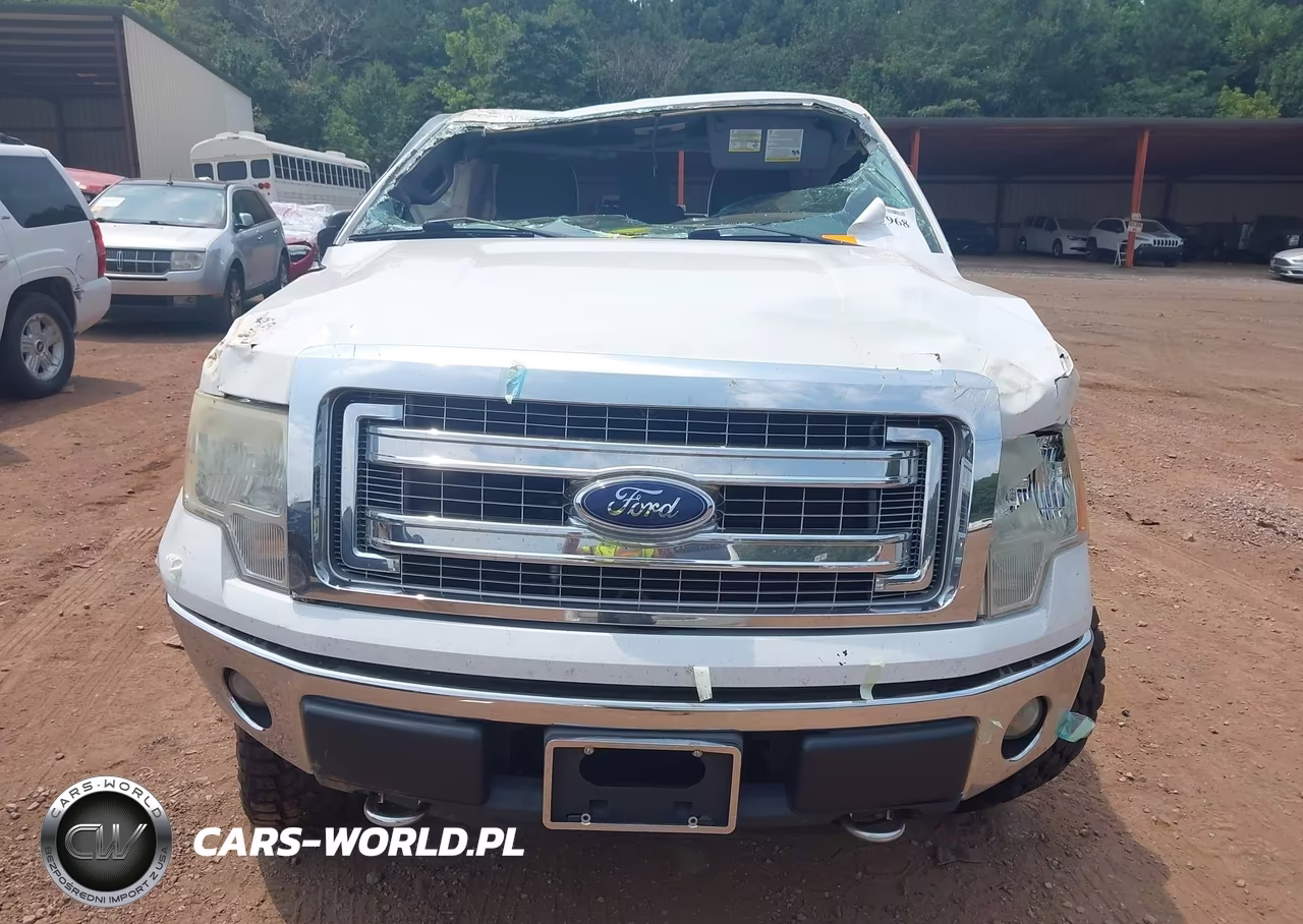 2014 Ford F-150 Xlt VIN:1FTFW1EF9EFB02400 - 12