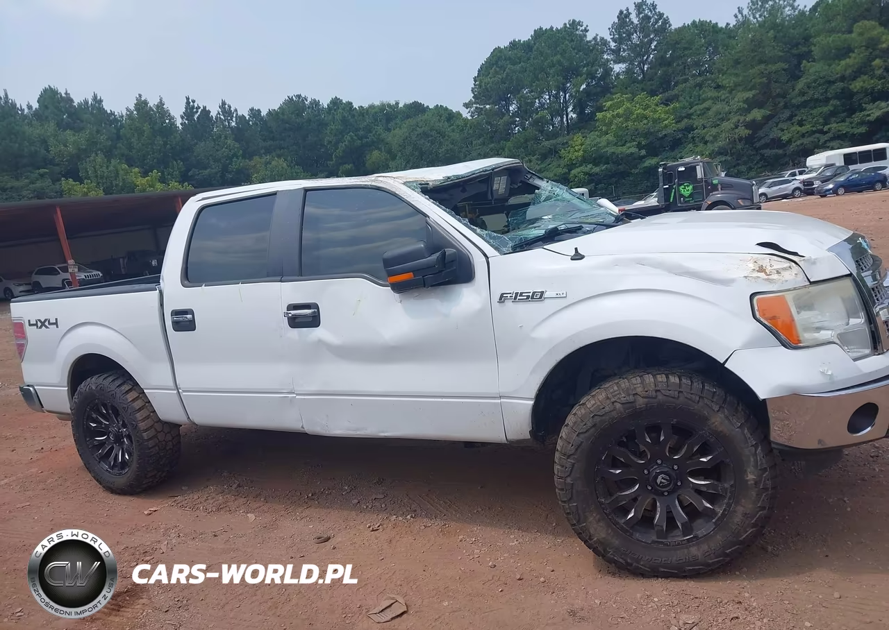 2014 Ford F-150 Xlt VIN:1FTFW1EF9EFB02400 - 13