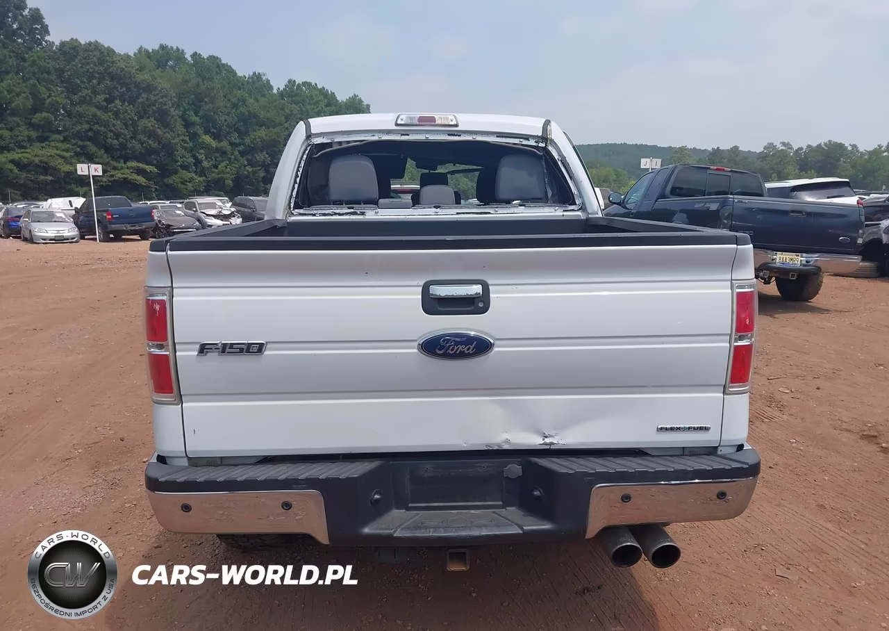 2014 Ford F-150 Xlt VIN:1FTFW1EF9EFB02400 - 16