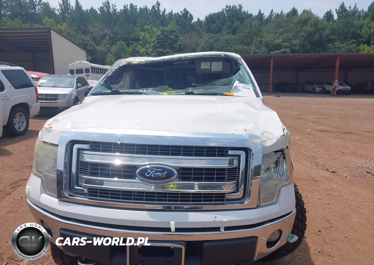 2014 Ford F-150 Xlt VIN:1FTFW1EF9EFB02400 - 6