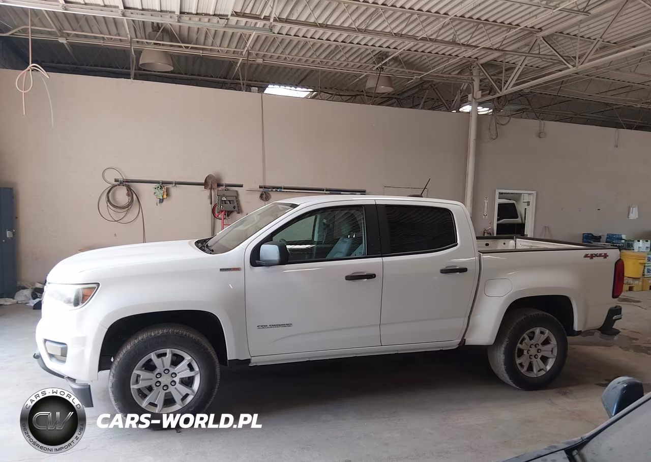 2017 Chevrolet Colorado 4Wd Wt VIN:1GCPTBE11H1238688 - 20