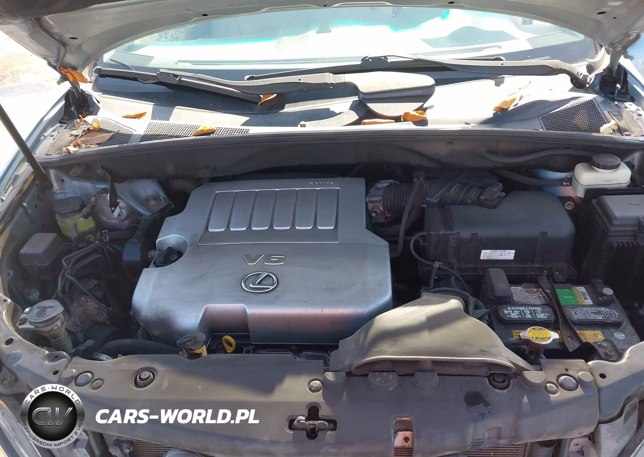 2009 Lexus Rx 350 VIN:2T2GK31U19C075719 - 10