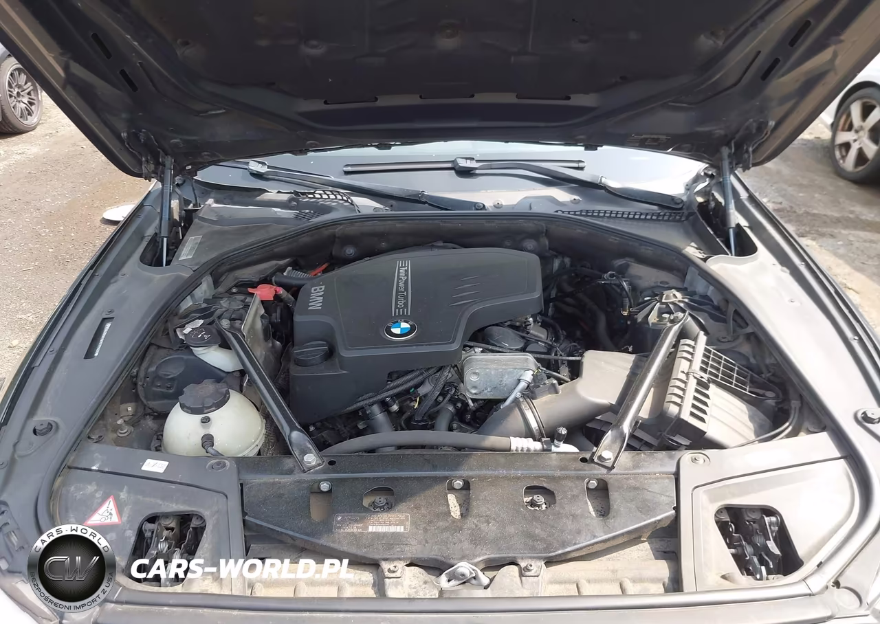 2013 BMW 528I xDrive VIN:WBAXH5C53DD115408 - 10