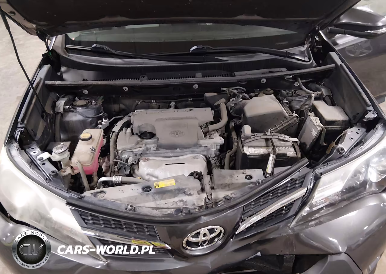 2015 Toyota Rav4 Xle VIN:2T3RFREV9FW370494 - 10