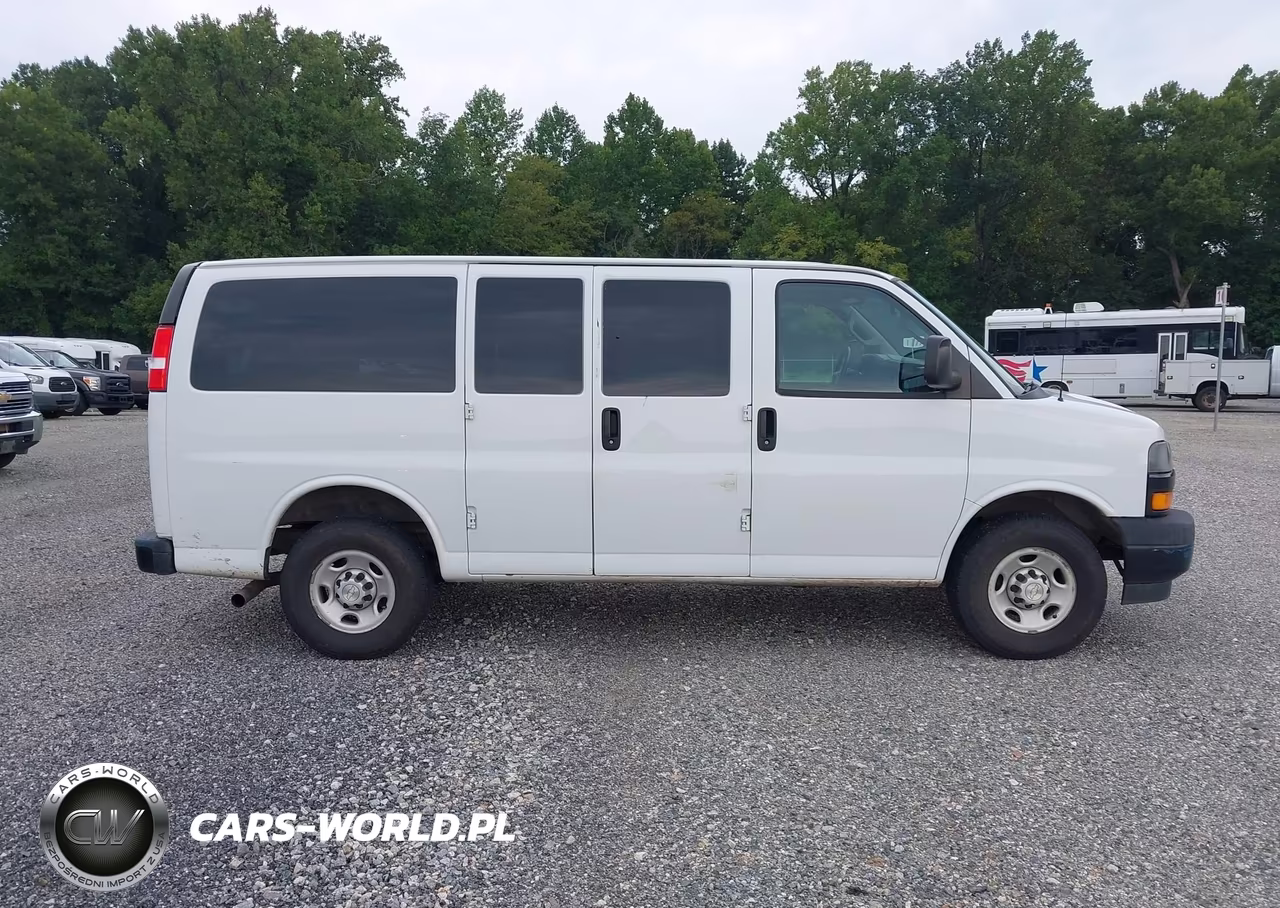 2020 Chevrolet Express Passenger Rwd 2500 Regular Wheelbase Ls VIN:1GAWGEFPXL1233611 - 18