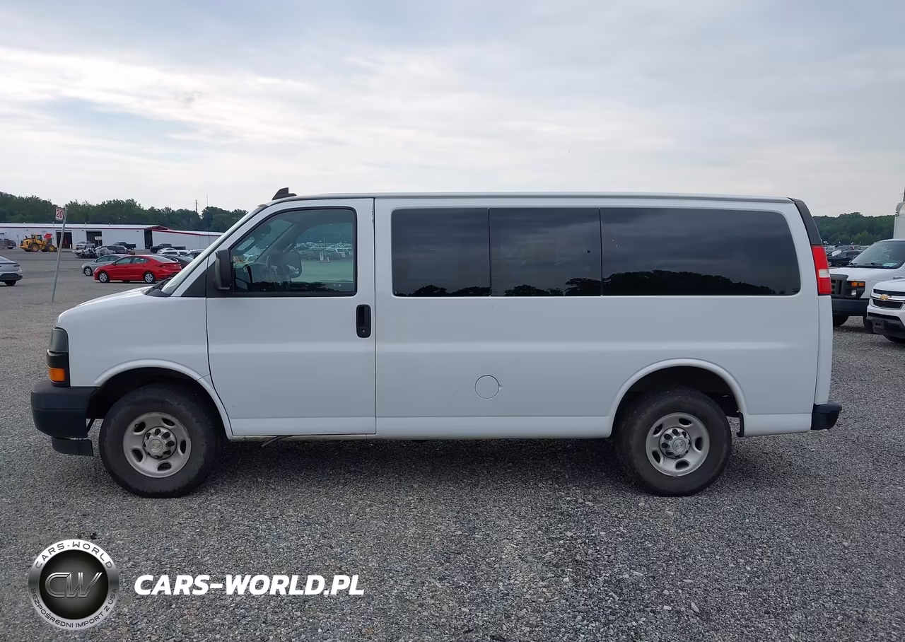 2020 Chevrolet Express Passenger Rwd 2500 Regular Wheelbase Ls VIN:1GAWGEFPXL1233611 - 19