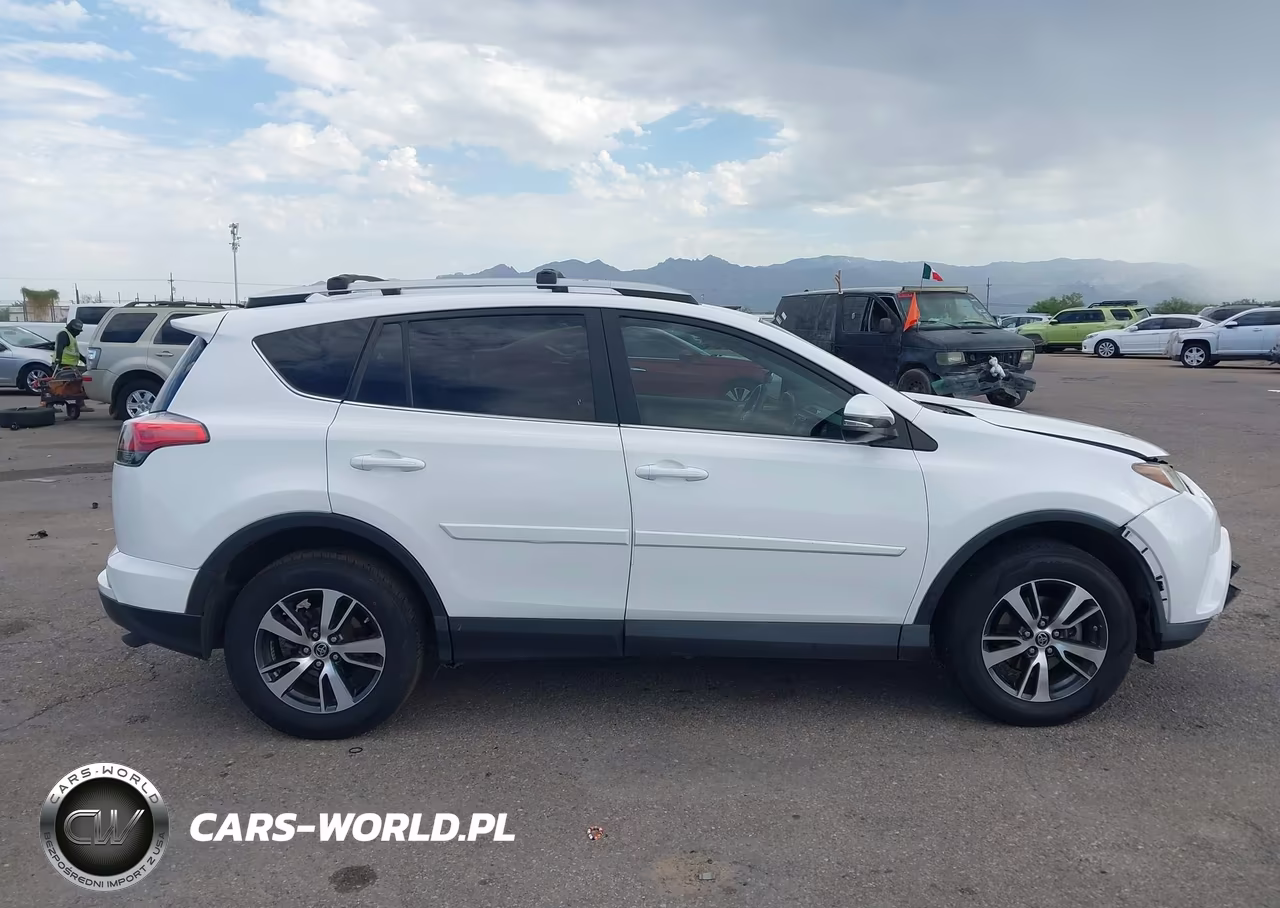 2016 Toyota Rav4 Xle VIN:2T3RFREV5GW515967 - 13