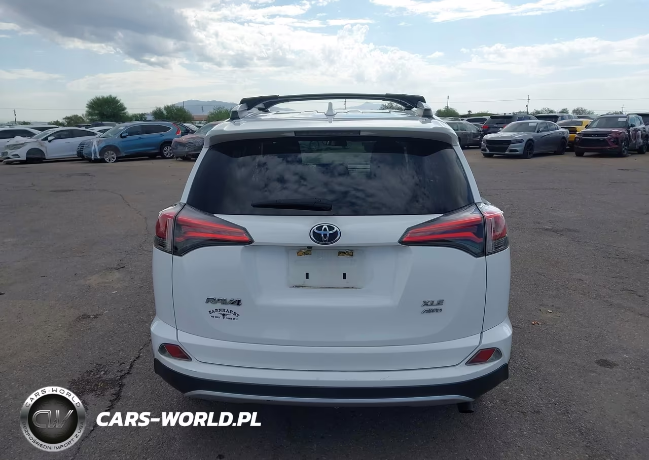 2016 Toyota Rav4 Xle VIN:2T3RFREV5GW515967 - 16