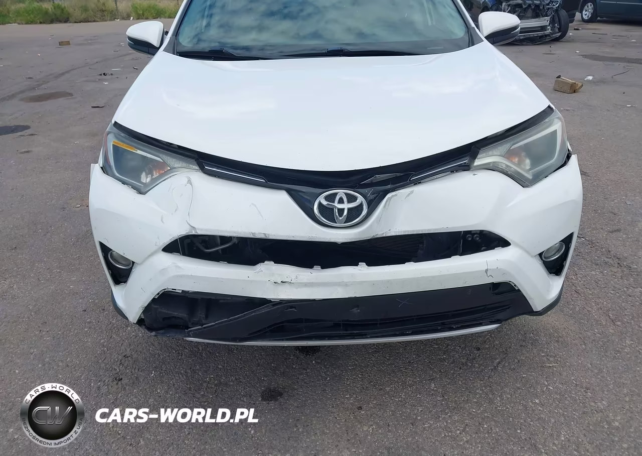 2016 Toyota Rav4 Xle VIN:2T3RFREV5GW515967 - 6