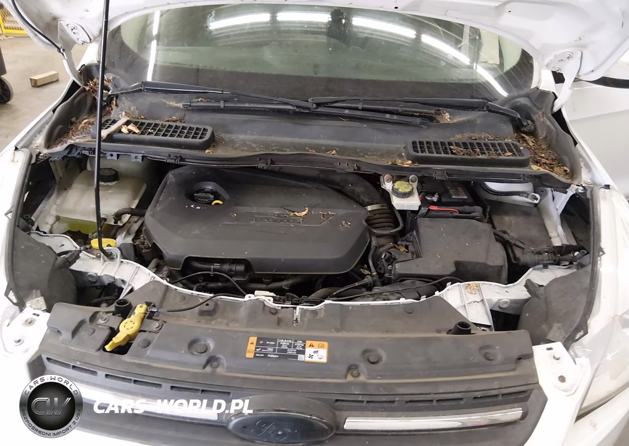 2014 Ford Escape Se VIN:1FMCU0GX8EUD87574 - 10