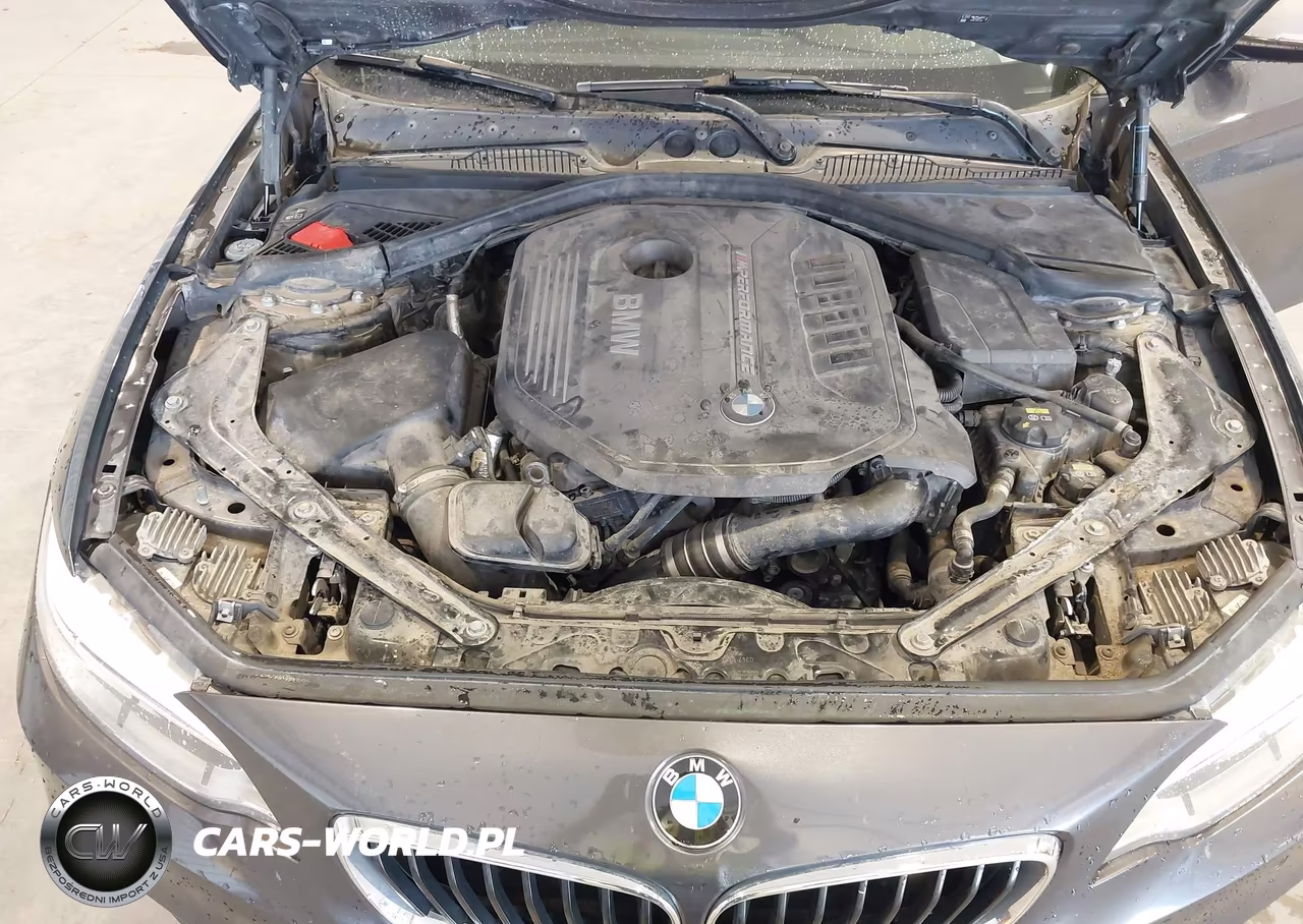 2017 BMW M240I VIN:WBA2L1C38HV666501 - 10