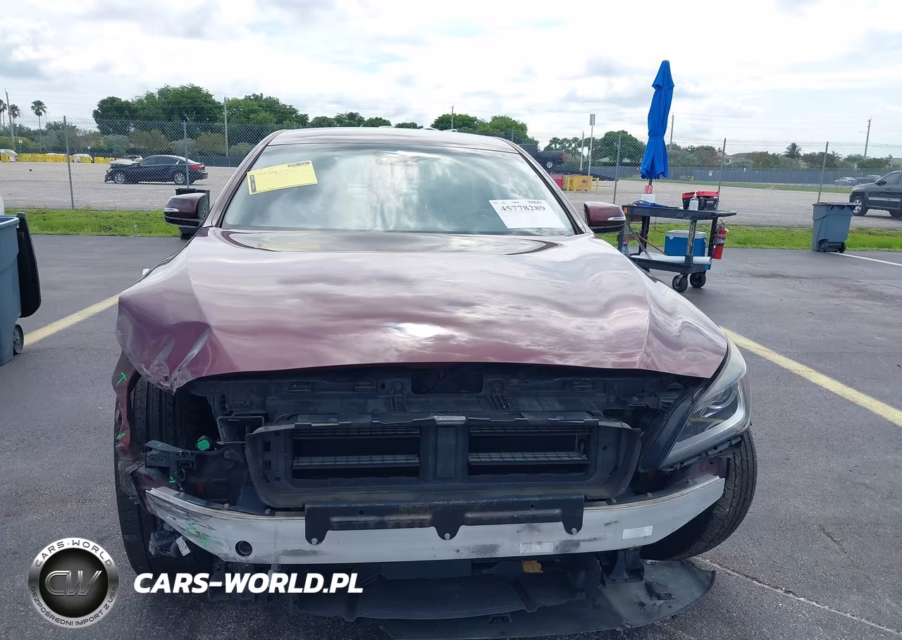 2016 Hyundai Genesis 3.8 VIN:KMHGN4JE8GU115364 - 13