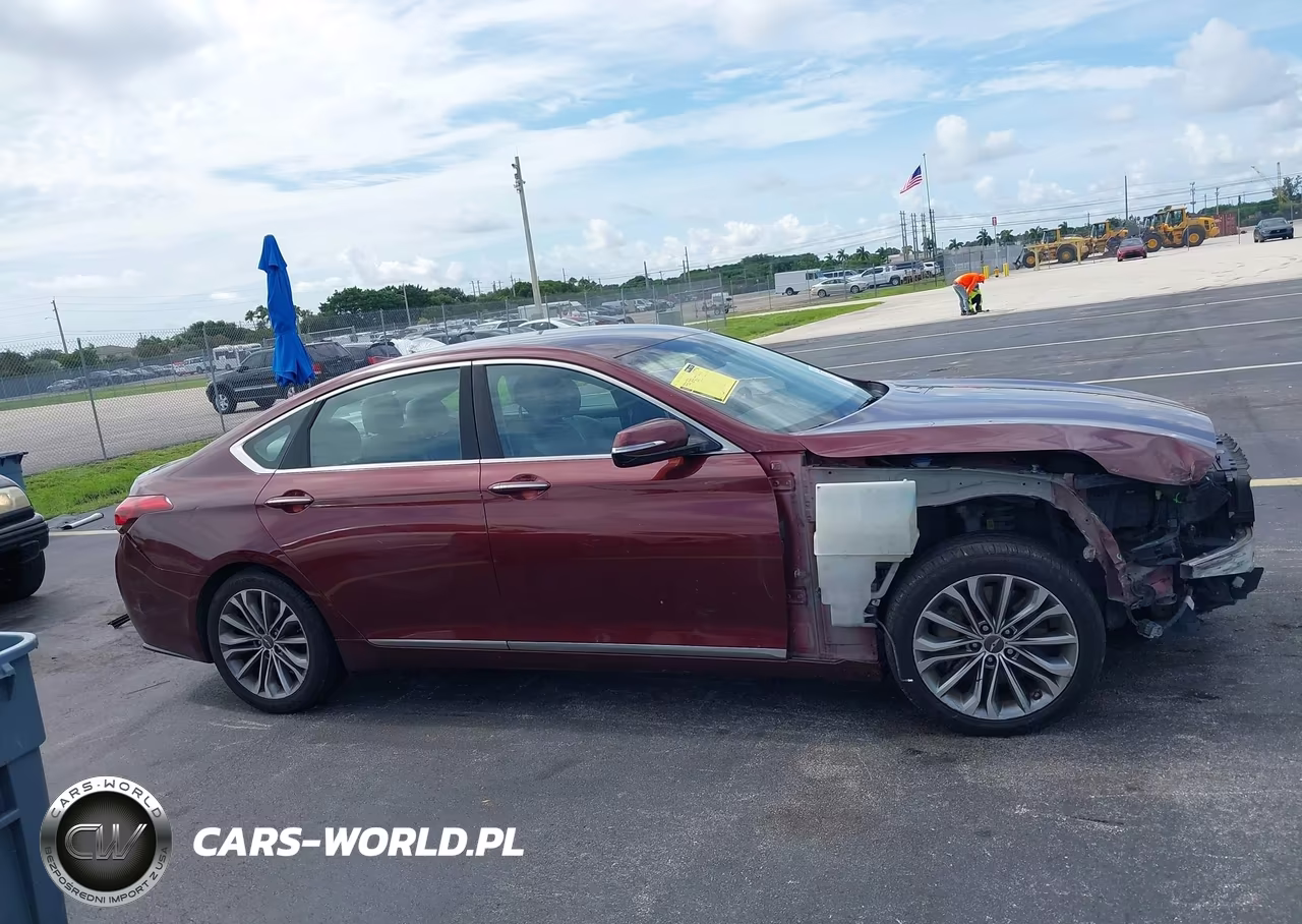 2016 Hyundai Genesis 3.8 VIN:KMHGN4JE8GU115364 - 14