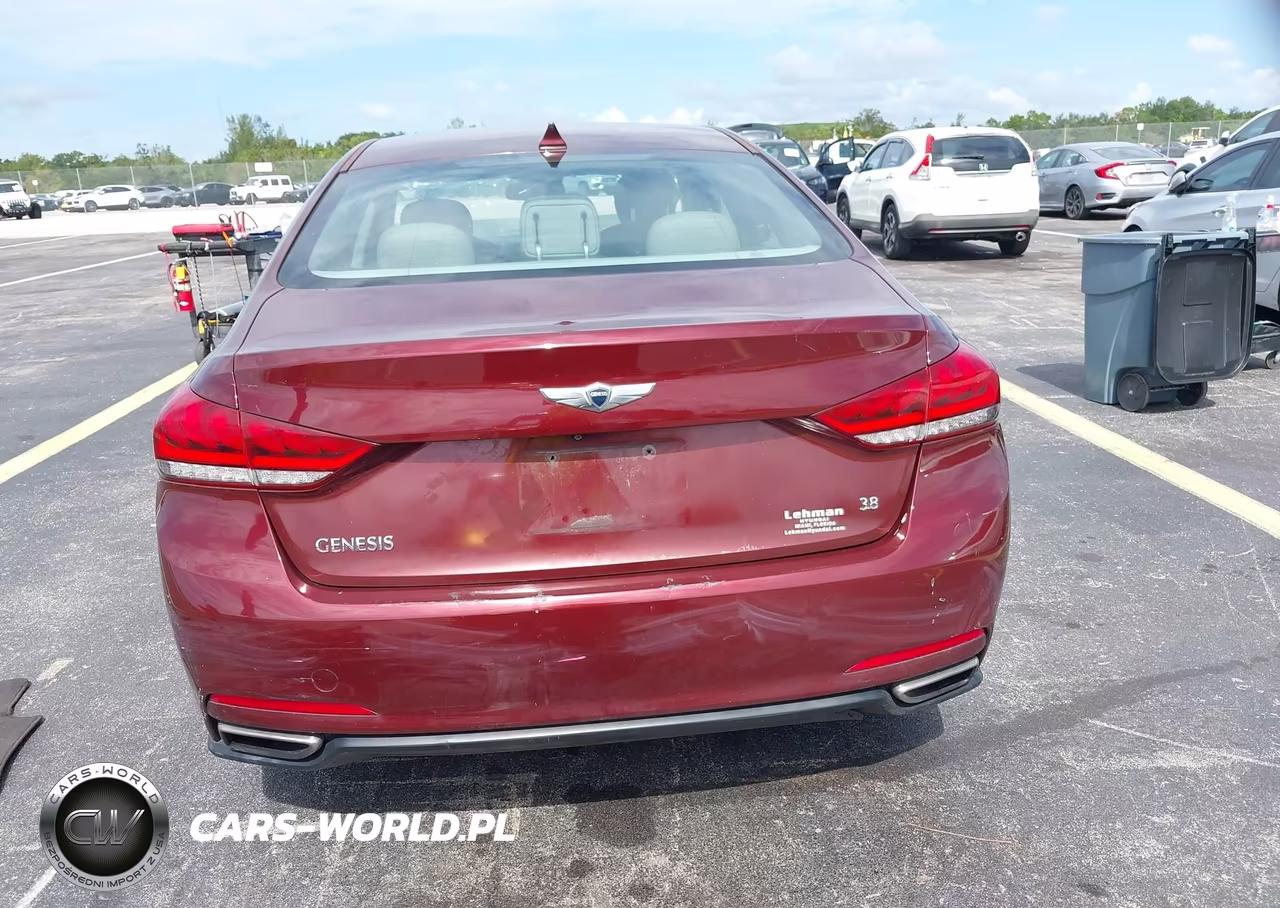 2016 Hyundai Genesis 3.8 VIN:KMHGN4JE8GU115364 - 17