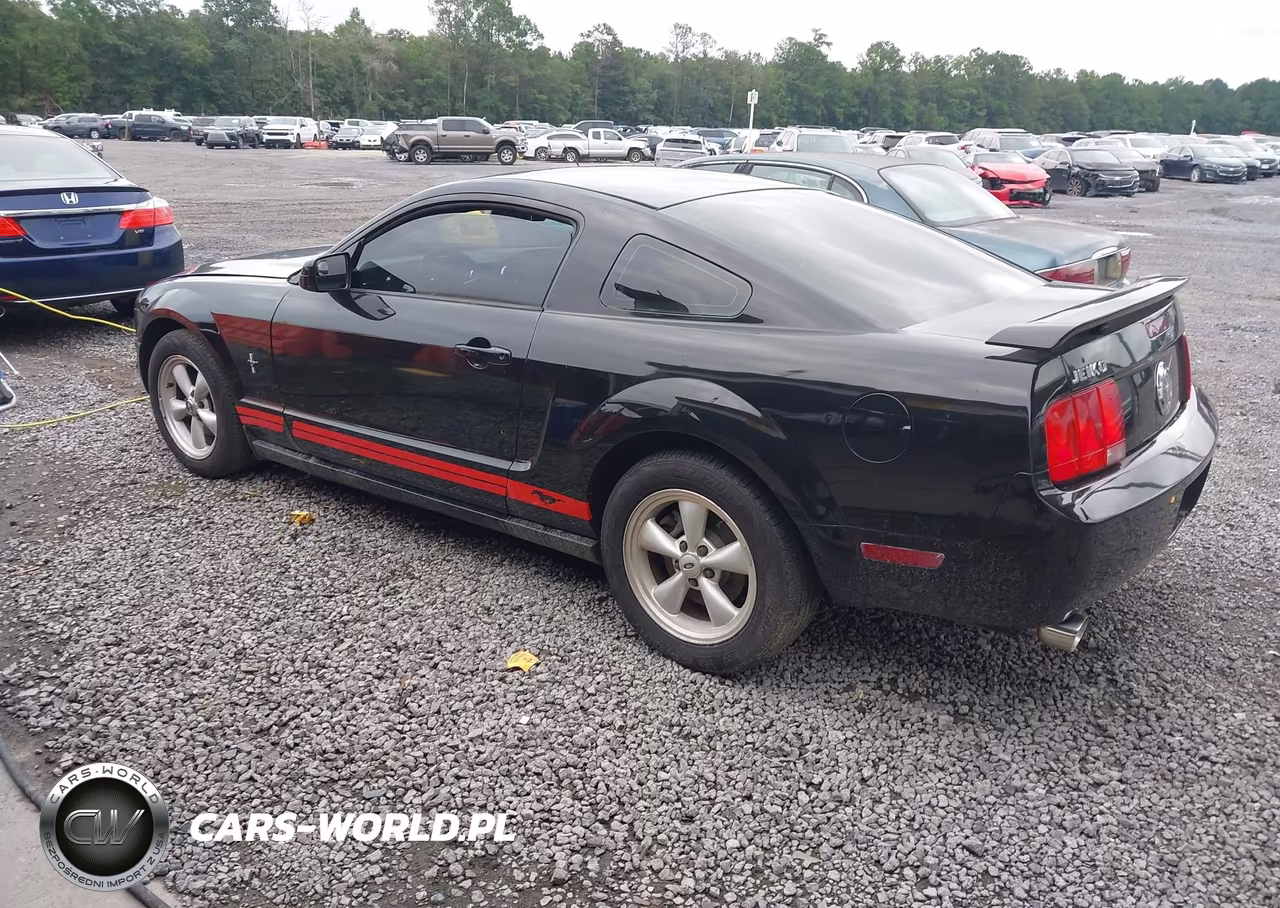 2007 Ford Mustang V6 Deluxe-V6 Premium VIN:1ZVFT80N675289682 - 3