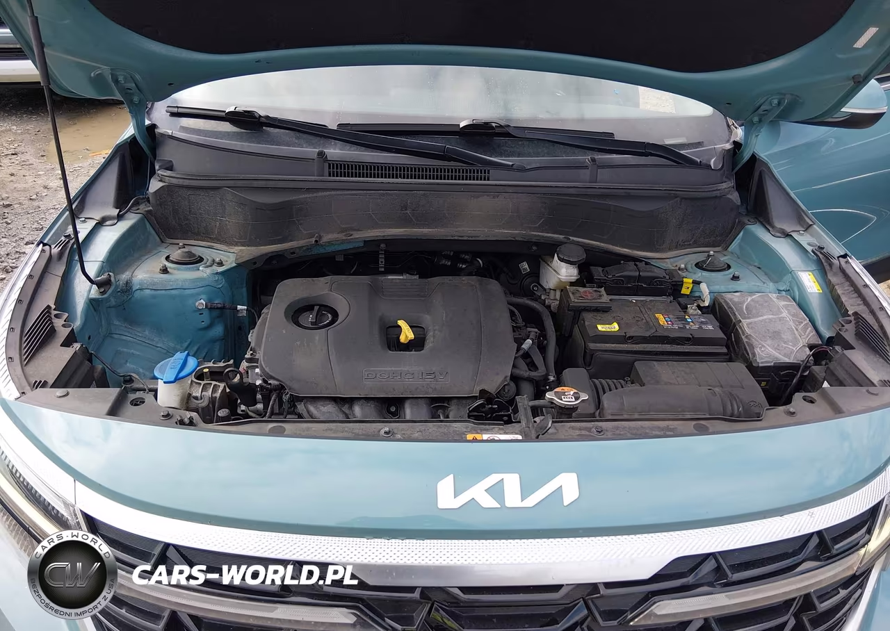 2024 Kia Seltos Ex VIN:KNDERCAA4R7494999 - 10