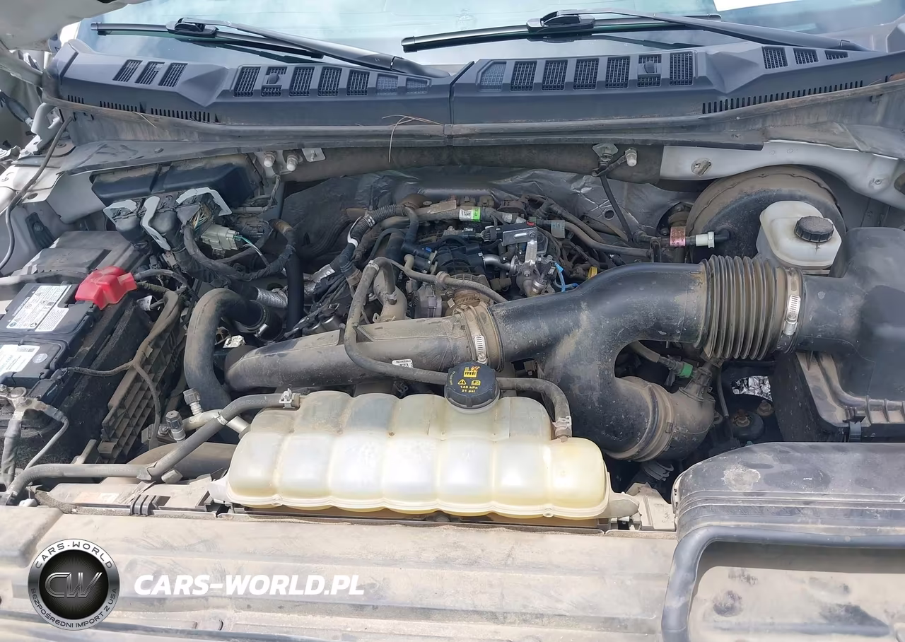 2020 Ford F-150 Xl VIN:1FTEW1CP9LFC63348 - 10