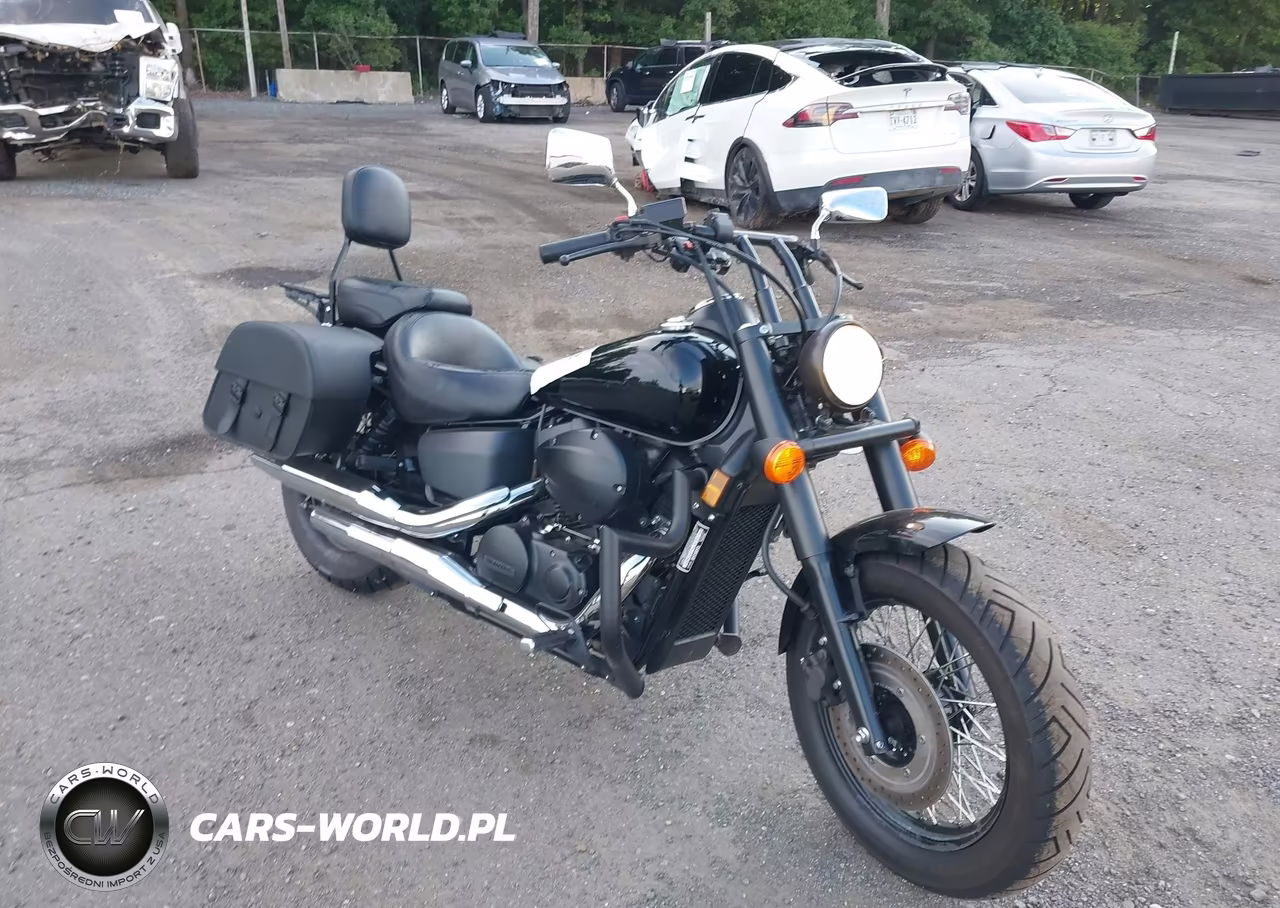 2020 Honda Vt750 C2B