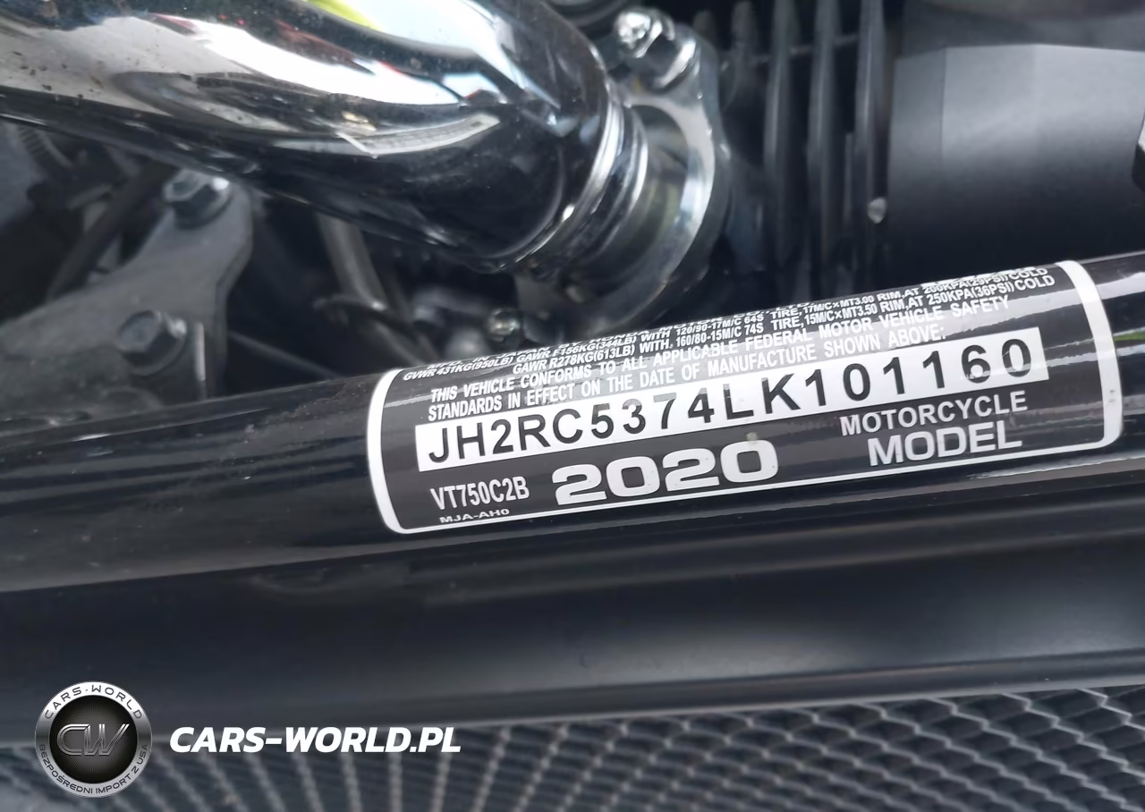 2020 Honda Vt750 C2B VIN:JH2RC5374LK101160 - 10