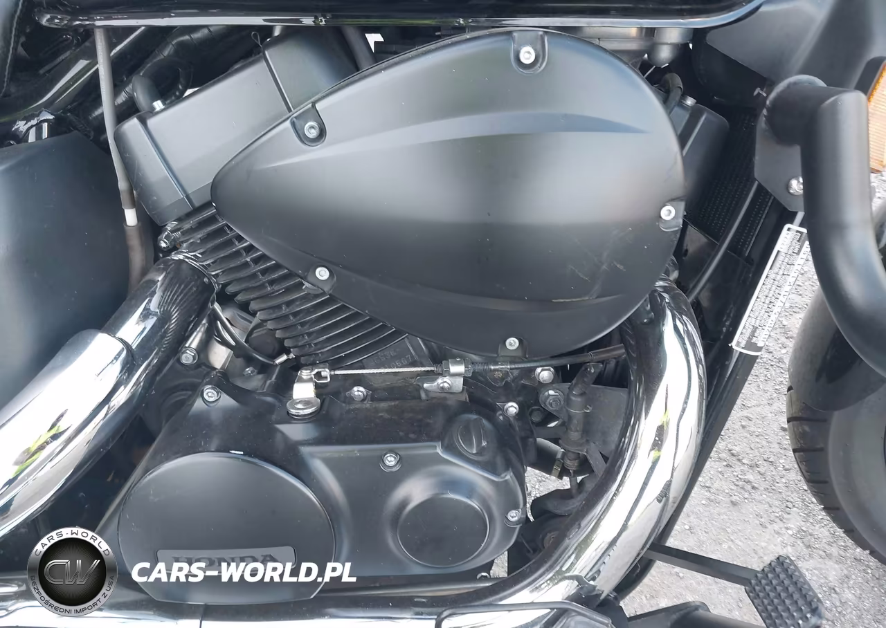 2020 Honda Vt750 C2B VIN:JH2RC5374LK101160 - 8