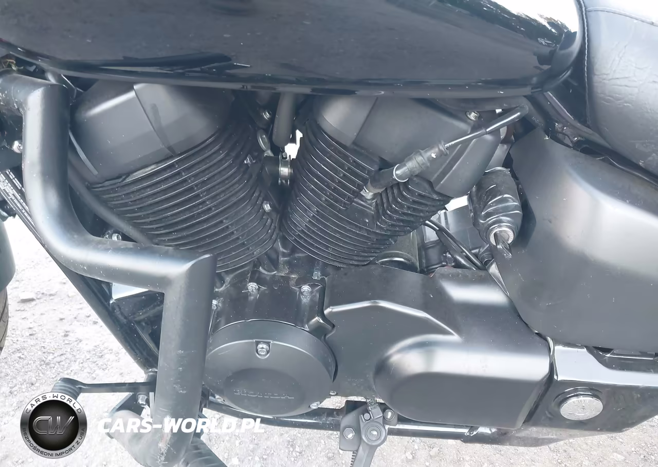 2020 Honda Vt750 C2B VIN:JH2RC5374LK101160 - 9